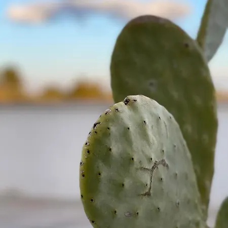 Tenuta Ermes Nocleg ze śniadaniem Ostuni