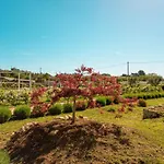 B&B Tenuta Ermes 4*