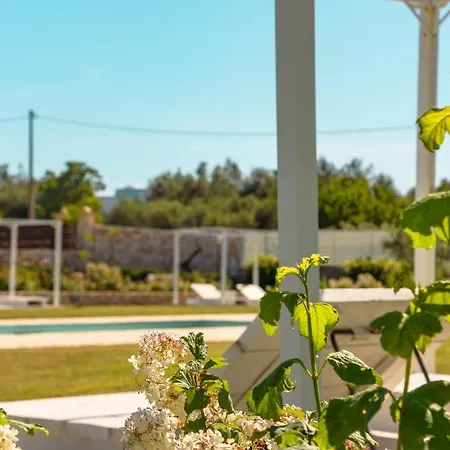 Bed & Breakfast Tenuta Ermes 4*