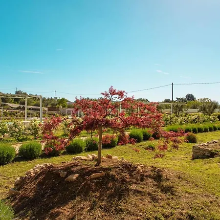 Bed & Breakfast Tenuta Ermes 4*